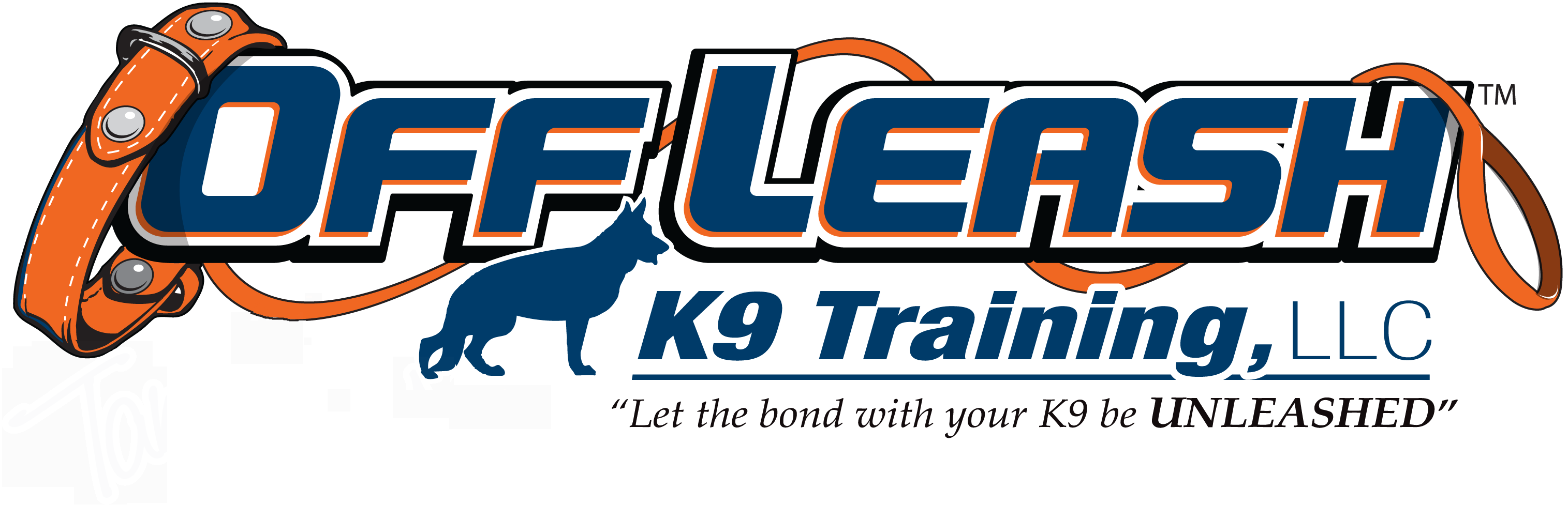Lynchburg VA  Offleash K9 Dog Training